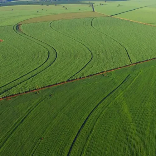 O que é MATOPIBA e qual a sua importância no agronegócio brasileiro?
